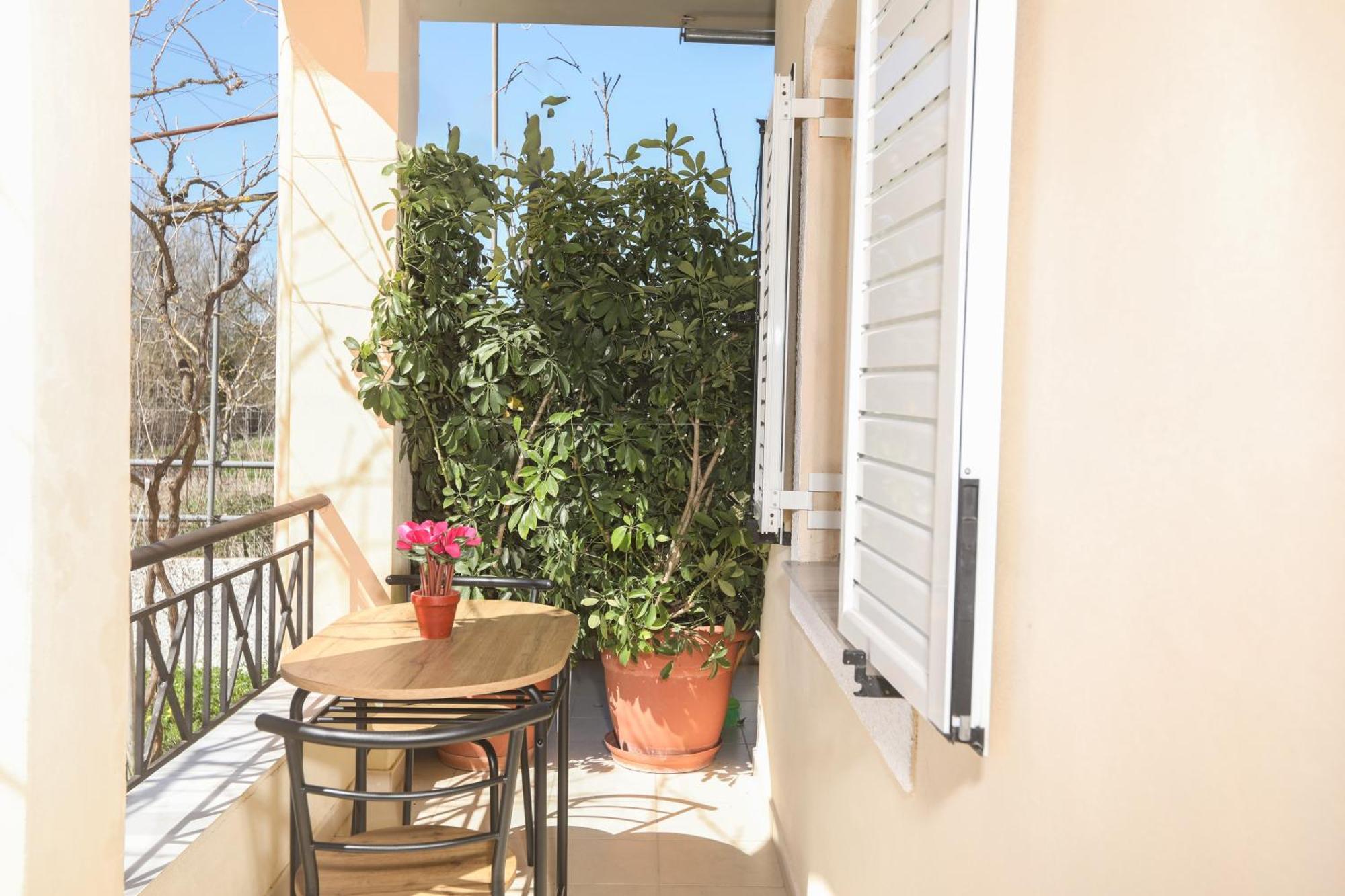 Natasha's Tiny * Perama (Corfu)